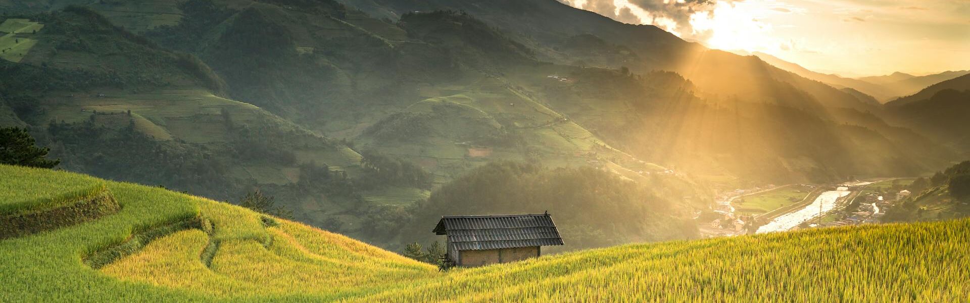 Sapa Best Terraced Rice-fields